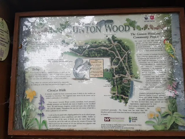 Gunton Wood