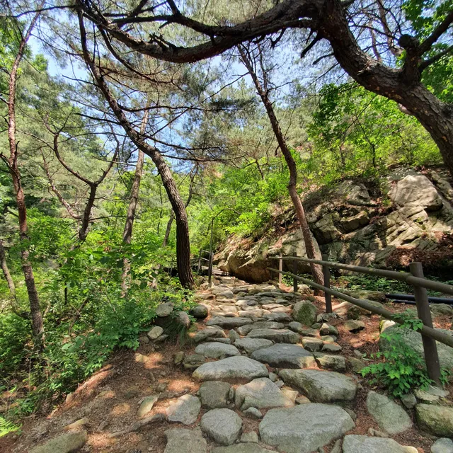 photo-1