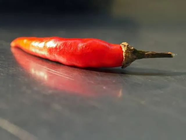 Clay Family Eastern Glades