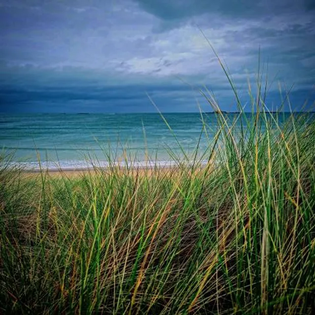 June White Decker Park