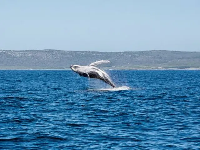 Short Point Recreation Reserve