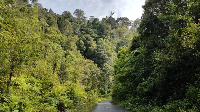 place image