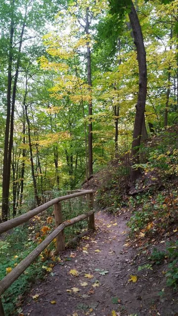 David A. Balfour Park