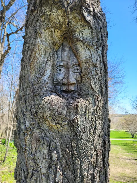 Johnson's Mound Forest Preserve