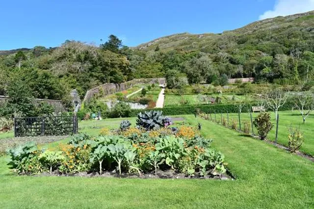 Suan Mai Dok Mueang Nao Betong (Ten-Thousand-Flower Garden)