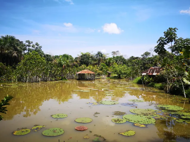 REMO CASPI AMAZON TOURS