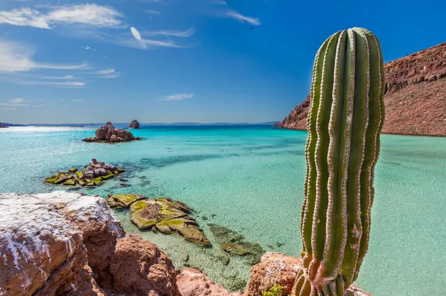 Todos Santos Eco Adventures