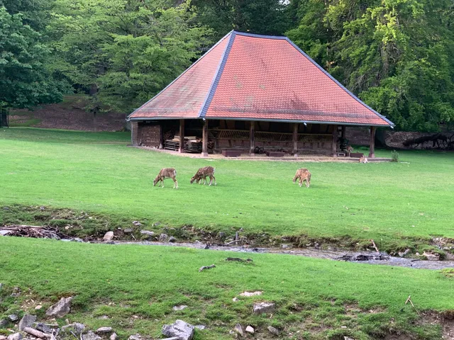 Wildgehege Hirschgarten
