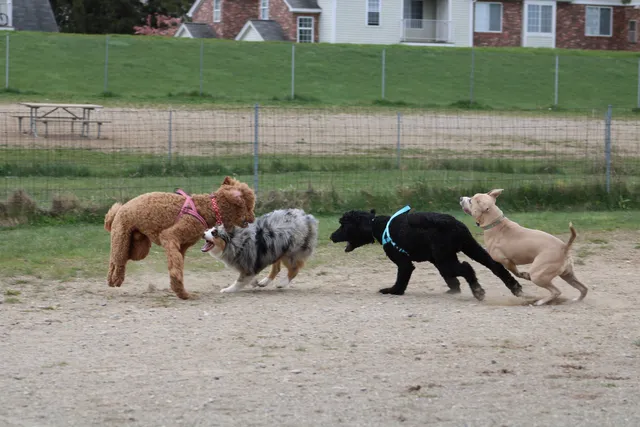 Red Oaks Dog Park