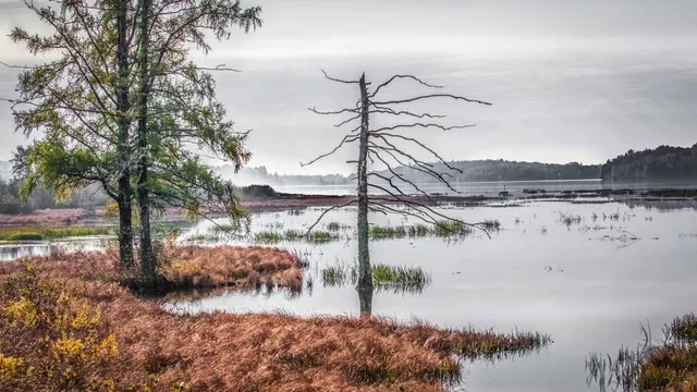 Marais du Nord (Les)