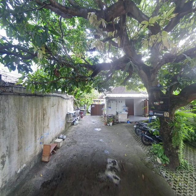 Bali Priskila Studio 89