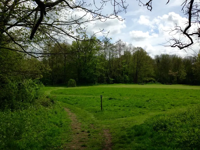 Rodden Meadow