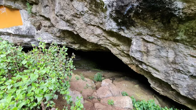 Kitum Caves