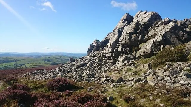 photo-1