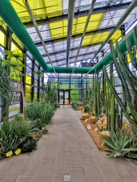 Drumul Taberei Park's Greenhouses