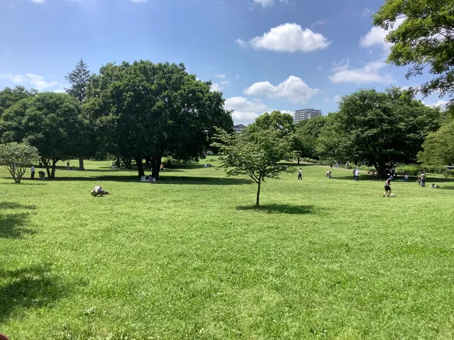 Musashi Kokubunji Park