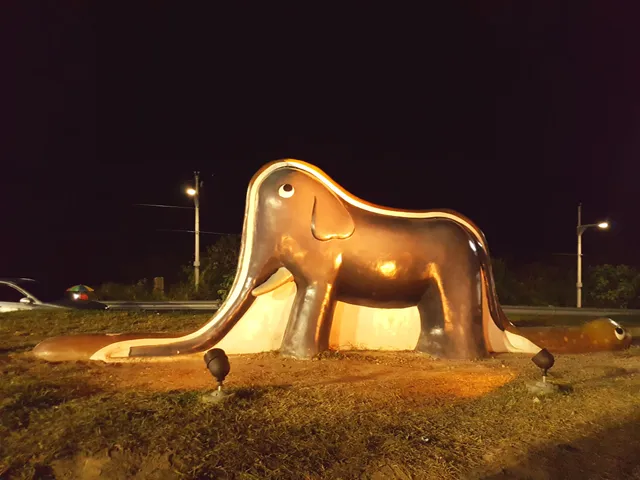 photo-1
