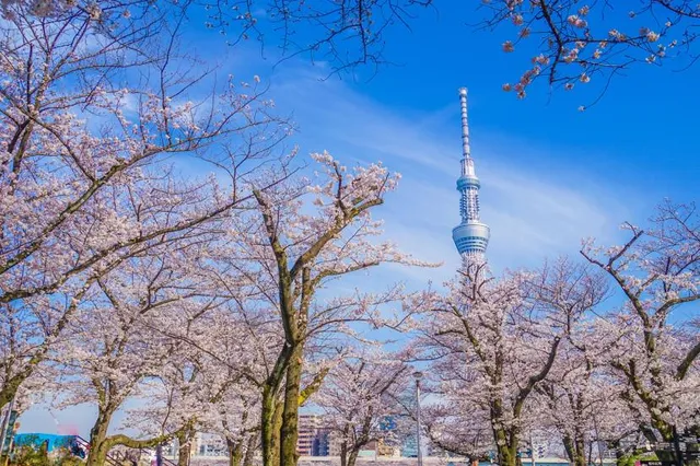 Matsuchiyamashoten Park