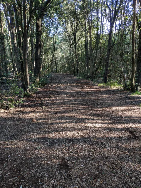 Riserva Naturale Poggio Tre Cancelli
