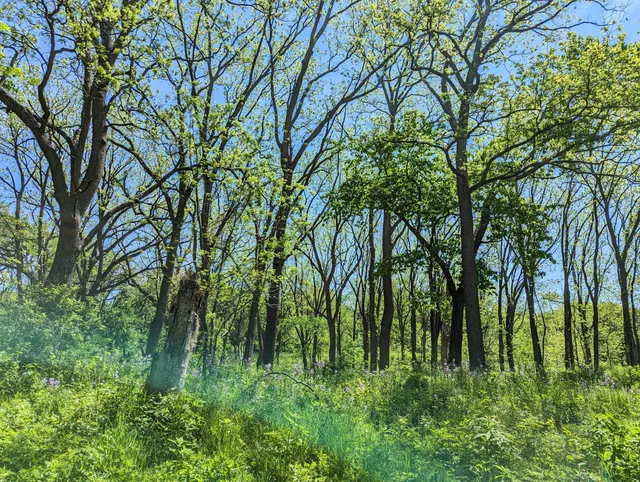 Turville Point Conservation Park