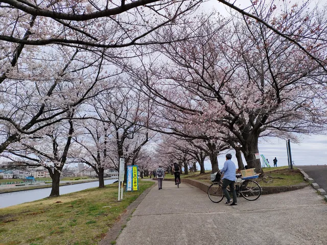 Shingashi River Park