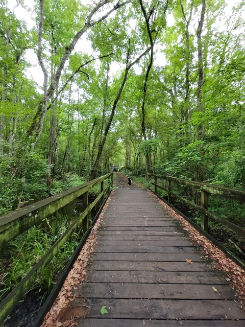 Julington Durbin Creek Nature Preserve
