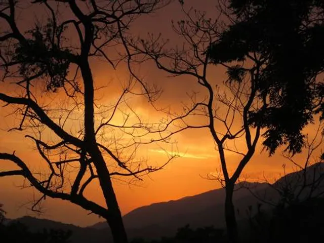 Queen of hills properties