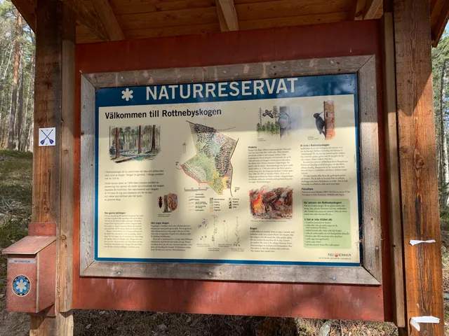 photo-1