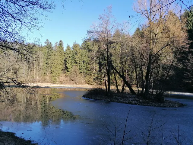 Přírodní park Les Včelný