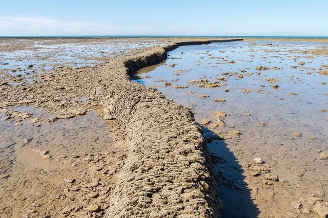 Los Corrales de Rota