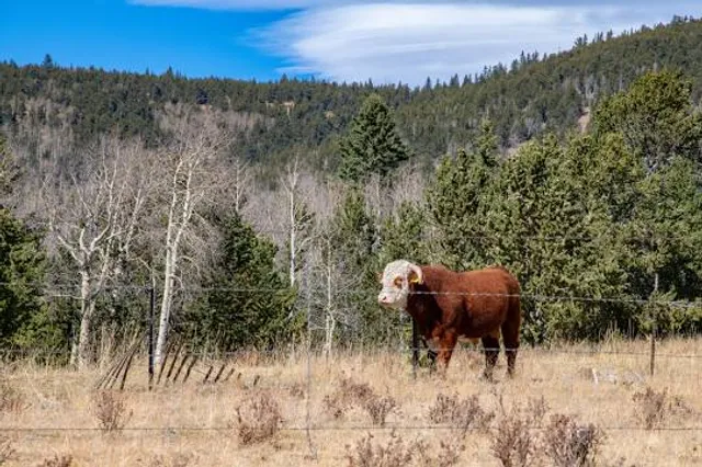 Brokenhead Wetland Interpretive Trail