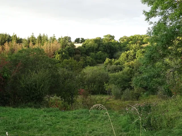 photo-1