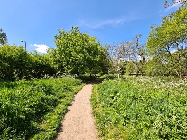 Donington and Albrighton local nature reserve