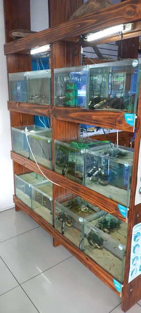 Acuario Mundo Acuático Costa Rica