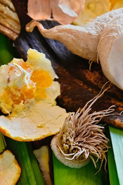 Ledge View Nature Center