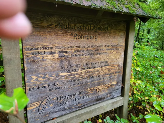 Naturschutzgebiet Rohrberg