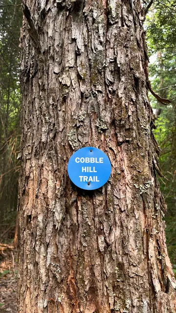 Cobble Hill Trailhead
