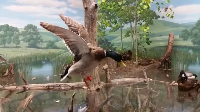 Blaine County Wildlife Museum