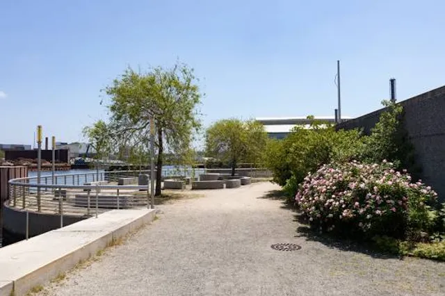 Newtown Creek Nature Walk