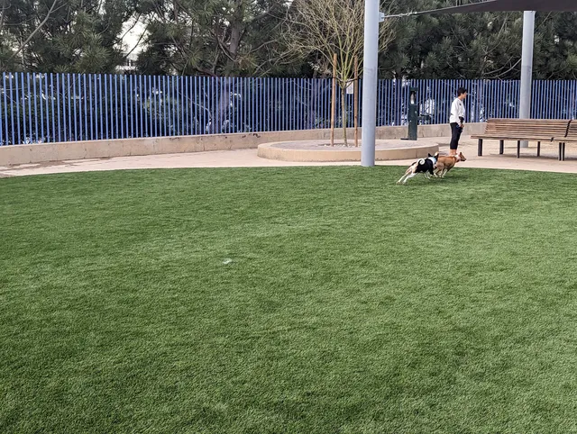 Newport Beach Dog Park