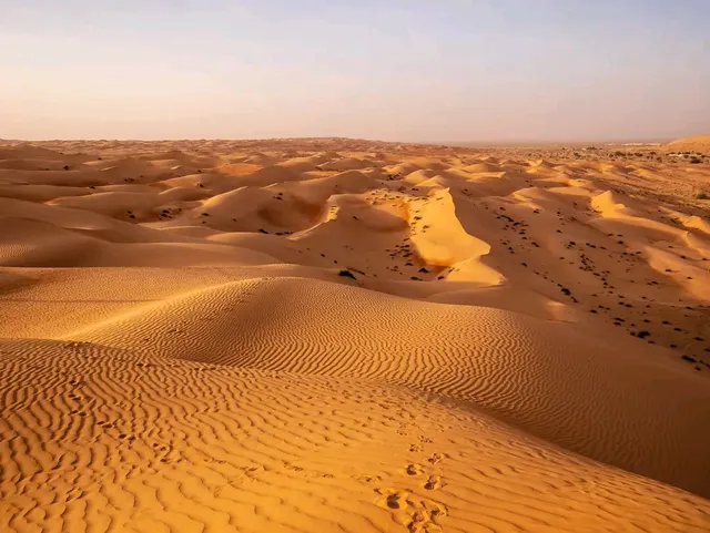 Ash Sharqiyah North Governorate