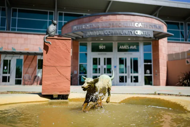 Humane Society Silicon Valley