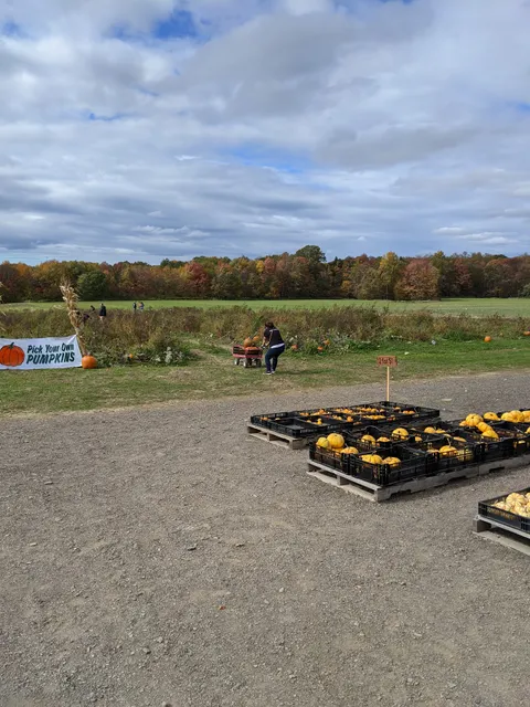 W&J Awald Farms Inc. Pumpkins, Corn maze, Christmas trees, Nursery stock