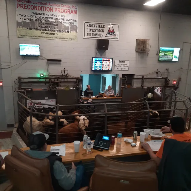 Knoxville Livestock Center Inc