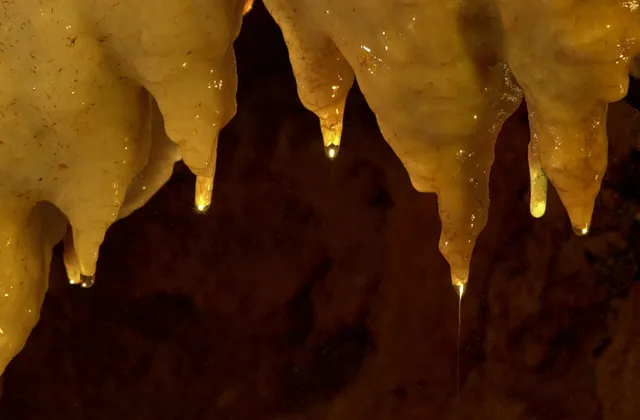 Coin Caves