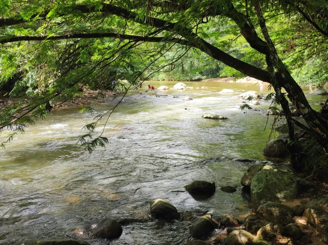 Playa Del Rio Arenal