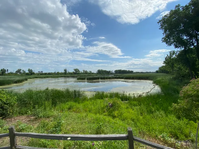 Hegewisch Marsh Park