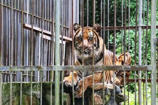 Wildlife Rescue Center No.1 Nakhon Nayok