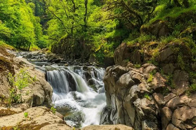 Hirkan National Park