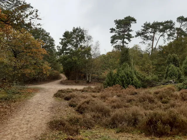 Overloonsche Duinen